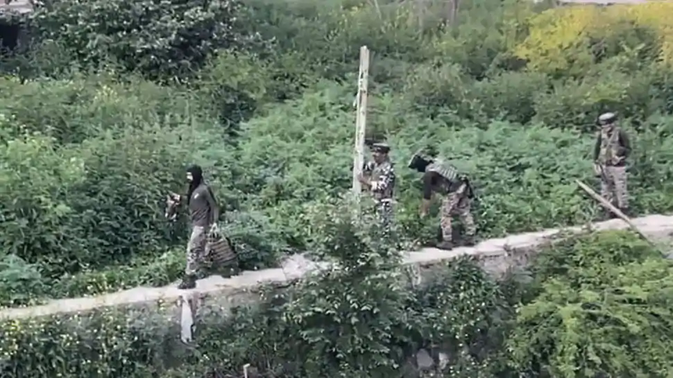 In unique rescue operation, CRPF team saves dog from drowning in Jhelum river in J&K – Indian Defence Research Wing
