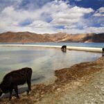 China throws open Pangong Tso Lake for international tourists amid border tensions with India – Indian Defence Research Wing