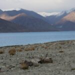 Now Indian Army reaches dominating heights at Finger 4 facing Chinese in Pangong Tso – Indian Defence Research Wing