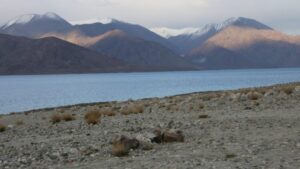 Now Indian Army reaches dominating heights at Finger 4 facing Chinese in Pangong Tso – Indian Defence Research Wing