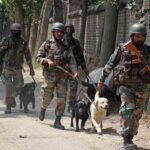 Indian Army dogs keep danger and stress at bay for soldiers in Jammu and Kashmir – Indian Defence Research Wing