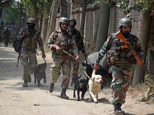 Indian Army dogs keep danger and stress at bay for soldiers in Jammu and Kashmir – Indian Defence Research Wing